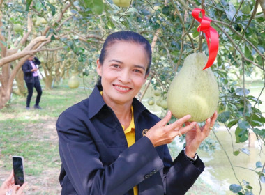 ลงพื้นที่ตรวจเยี่ยมและติดตามการดำเนินงานของศูนย์เรียนรู้การปลูกส้มโอทับทิมสยามบ้านแสงวิมานตำบลคลองน้อย อำเภอปากพนัง จังหวัดนครศรีธรรมราช โดยนายชวกิจจ์ สุวรรณคีรี รองผู้ว่าราชการจังหวัดนครศรีธรรมราช กล่าวต้อนรับพร้อมนายวิศิษฐ์ ศรีสุวรรณ์ อธิบดีกรมส่งเสริม ... พารามิเตอร์รูปภาพ 14